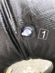 557553