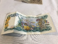 557887