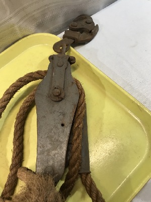 559293