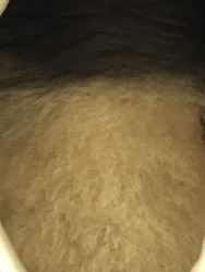 559424