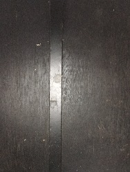 559514