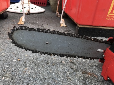 561831