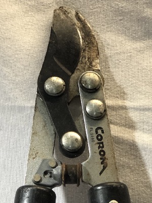 562075