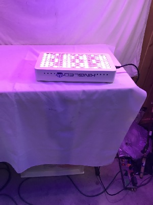 562737