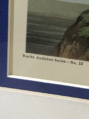 564267