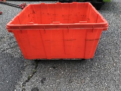 561818