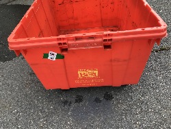 561819