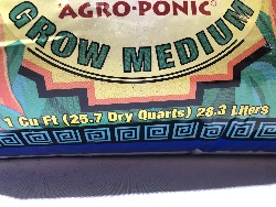 562050