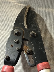 562094