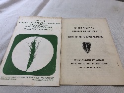 562367