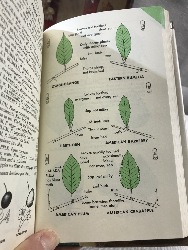 564214