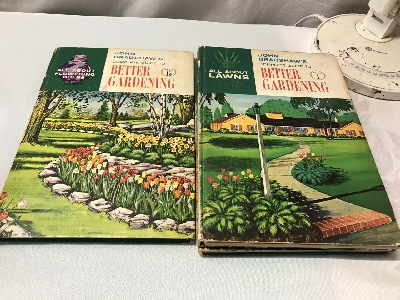 565054