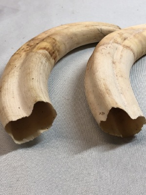 565578
