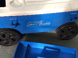564919