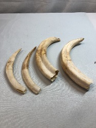 565576
