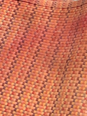 566553