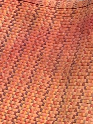 566553
