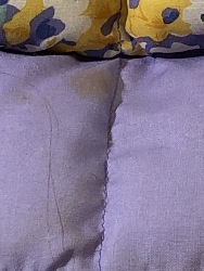 567409
