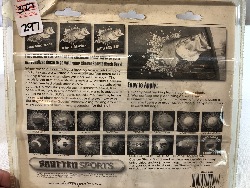 568819