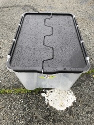 569329