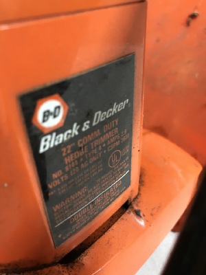 570025