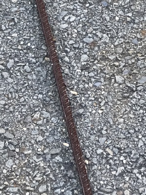 570160
