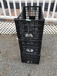 570123