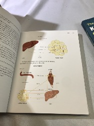 570977
