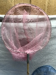 571756
