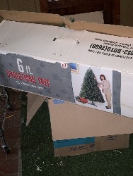 562244